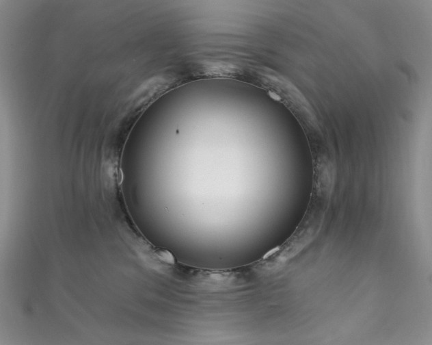 X0000111870329200907231518