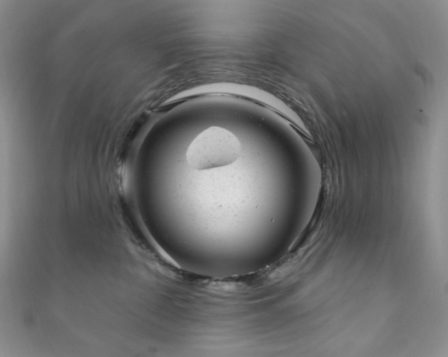 X0000111870332200907231518