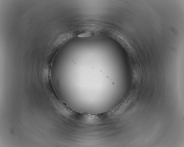 X0000111870333200907231518