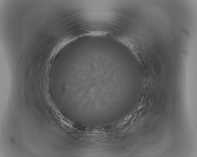 X0000111870337200907231517