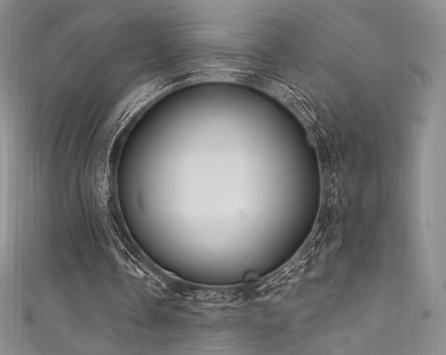 X0000111870338200907231517