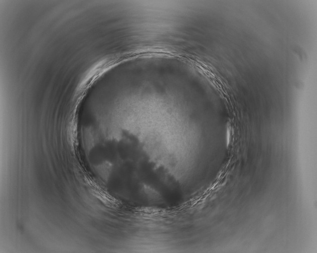 X0000111870339200907231517