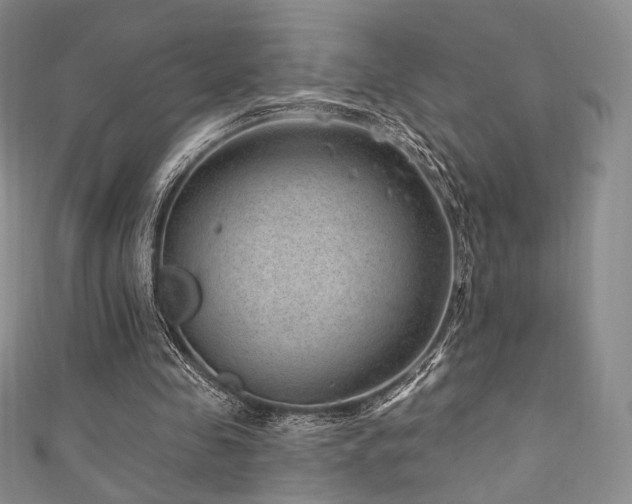 X0000111870341200907231517