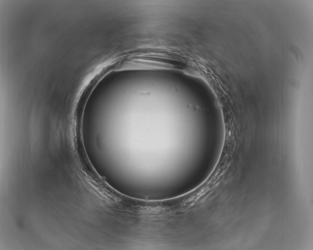 X0000111870342200907231517