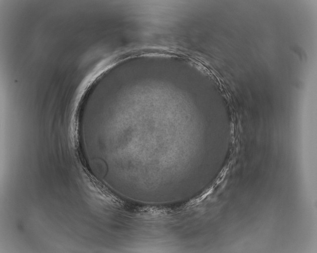 X0000111870343200907231517