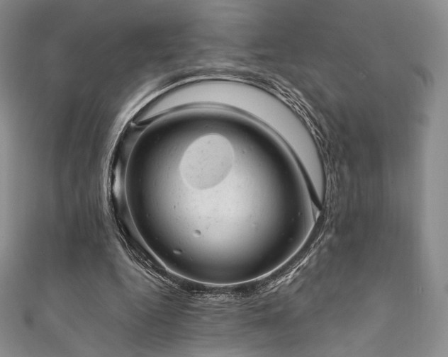 X0000111870344200907231517