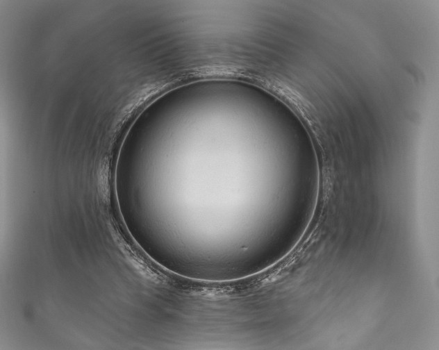 X0000111870345200907231517