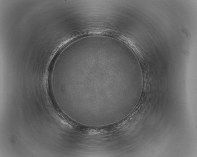 X0000111870346200907231517