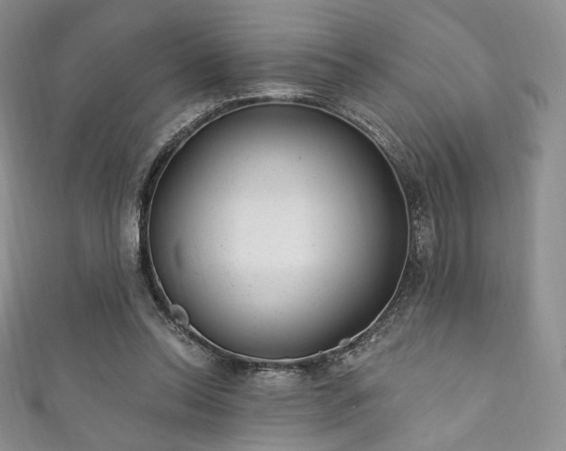 X0000111870350200907231517