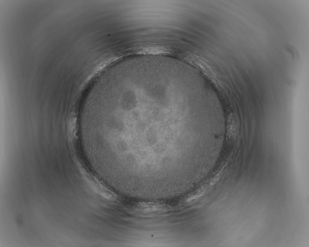 X0000111870351200907231517