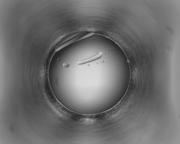 X0000111870352200907231517
