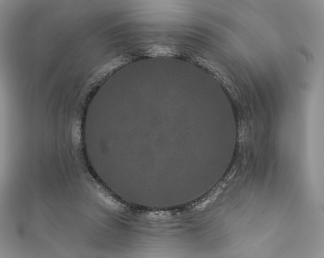 X0000111870353200907231517