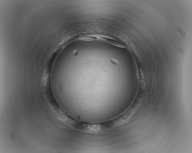 X0000111870355200907231517