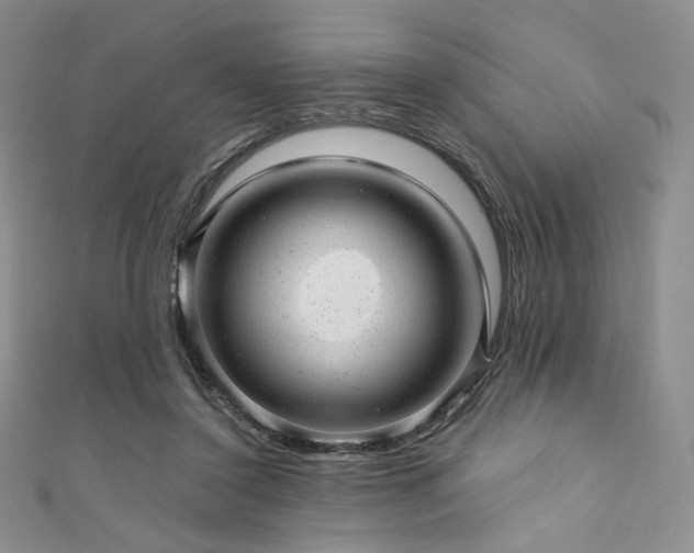 X0000111870356200907231517