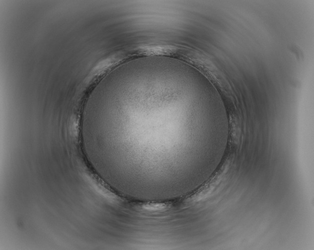 X0000111870357200907231517