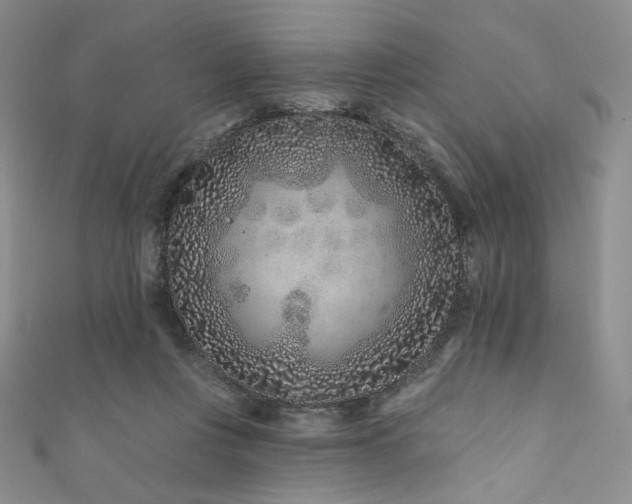 X0000111870359200907231517