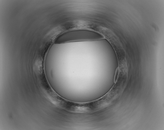 X0000111870360200907231517