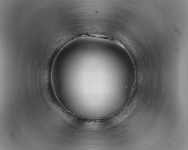 X0000111870362200907231517