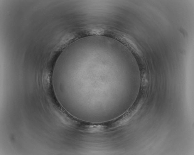 X0000111870363200907231517