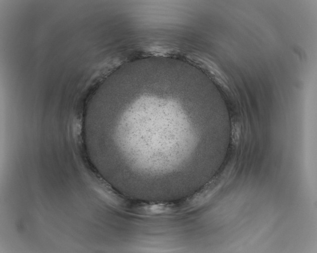 X0000111870365200907231517