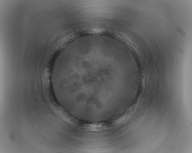 X0000111870366200907231517