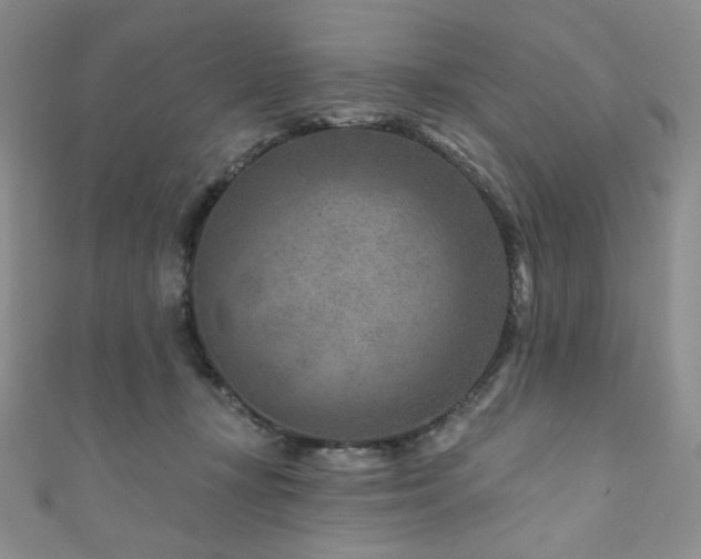 X0000111870367200907231517