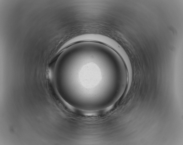 X0000111870368200907231517