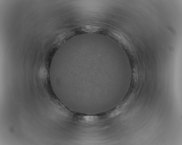 X0000111870371200907231517