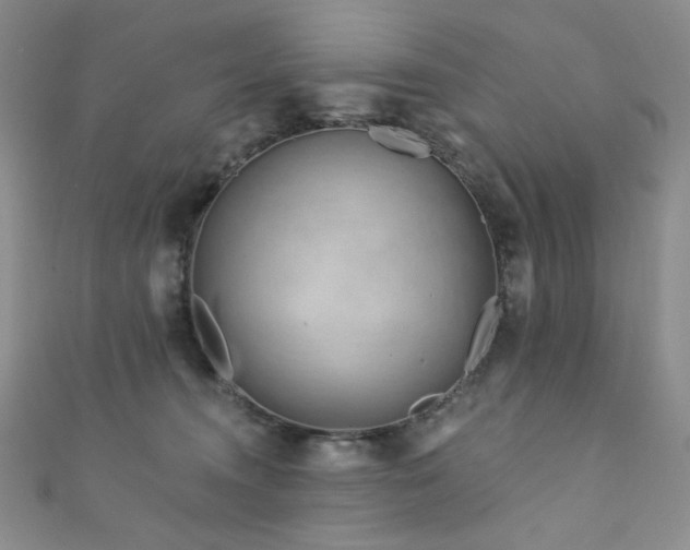 X0000111870372200907231517