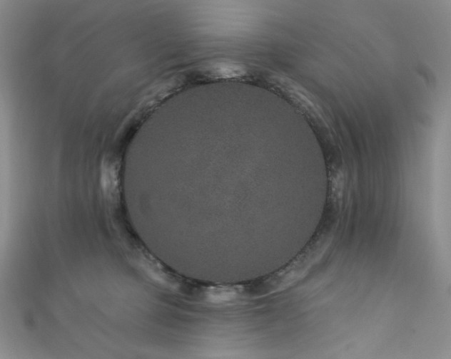 X0000111870373200907231517
