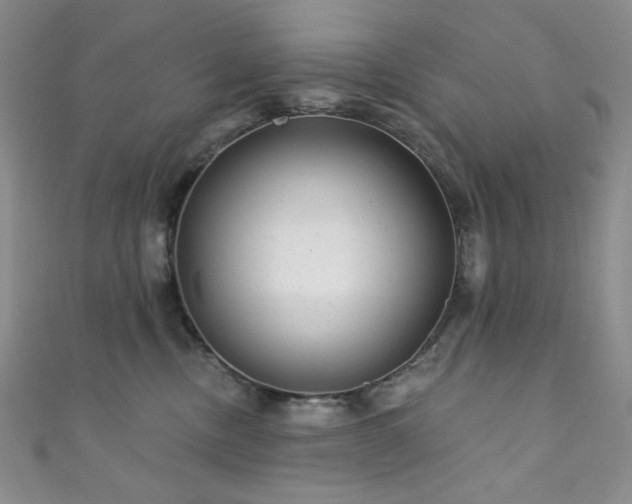 X0000111870378200907231518
