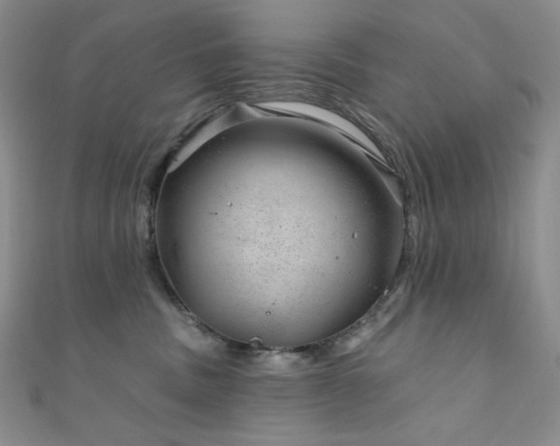 X0000111870379200907231518