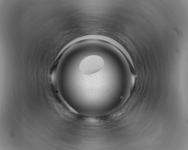 X0000111870380200907231518