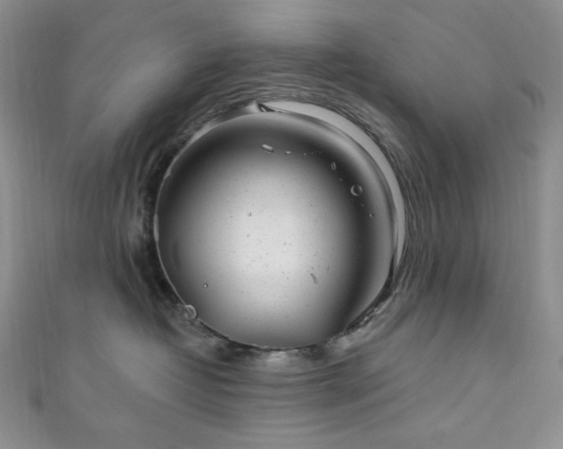 X0000111870382200907231518