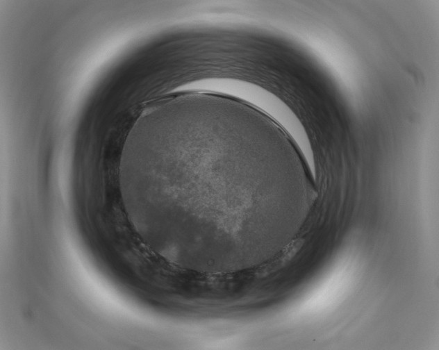 X0000111870383200907231518