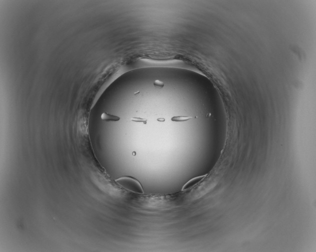 X0000111870384200907231518