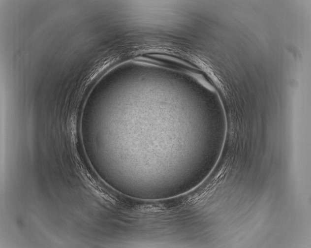 X0000111870386200907231517