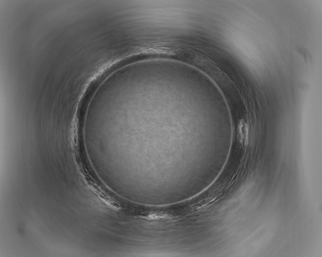 X0000111870388200907231517
