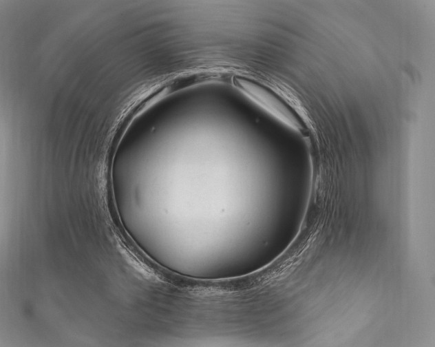 X0000111870389200907231517