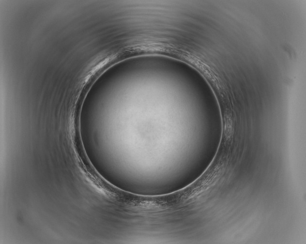 X0000111870390200907231517