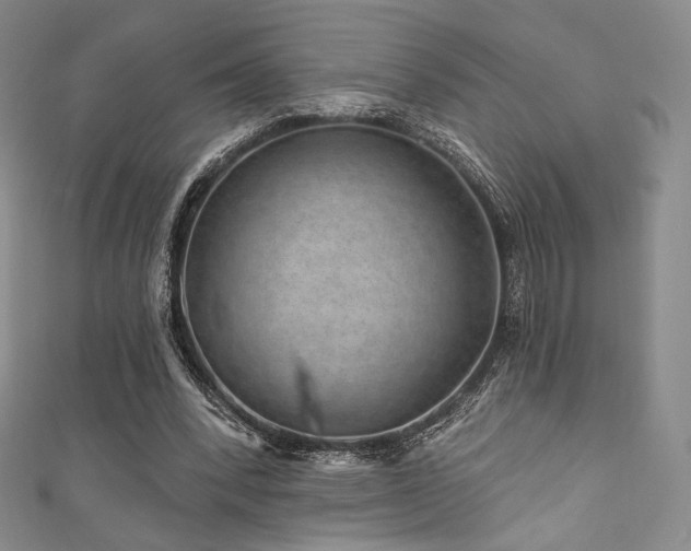 X0000111870392200907231517