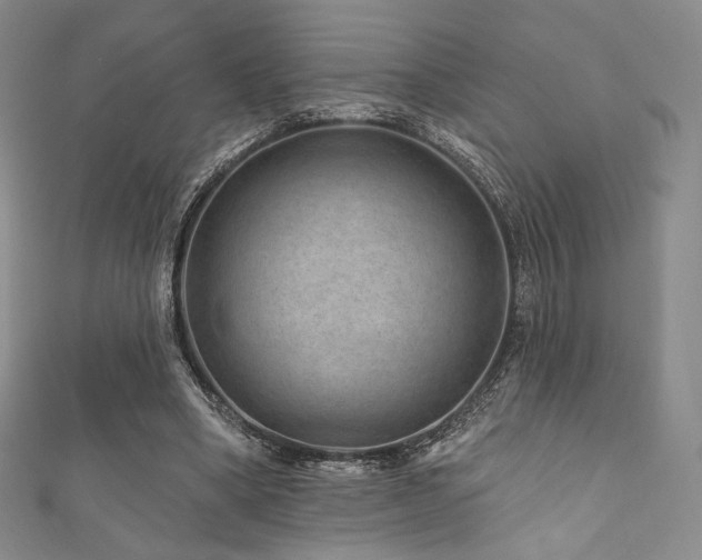 X0000111870394200907231517