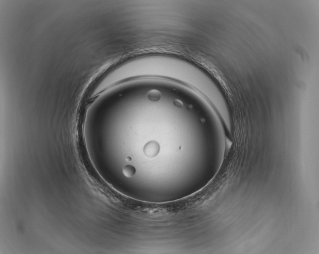 X0000111870395200907231517