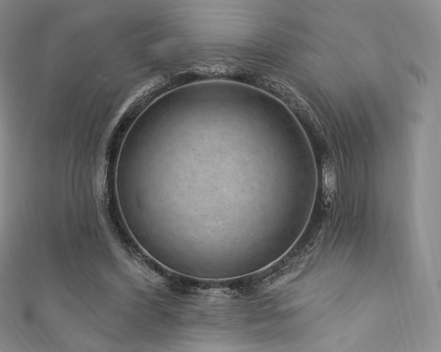 X0000111870396200907231517