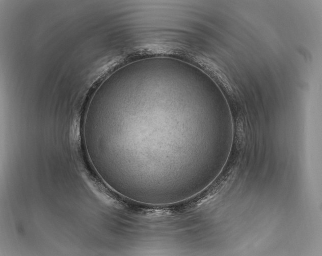 X0000111870398200907231517