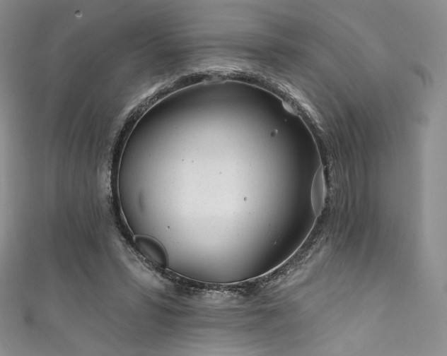 X0000111870399200907231517
