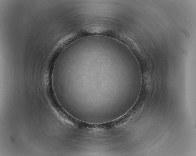 X0000111870400200907231517