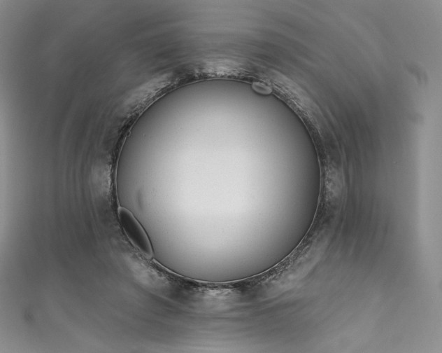 X0000111870401200907231517