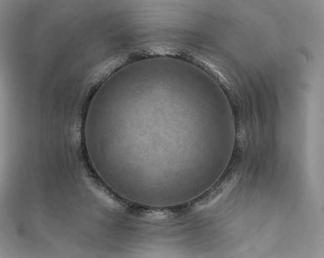 X0000111870402200907231517