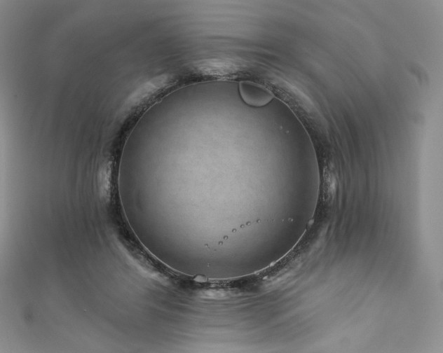 X0000111870404200907231517